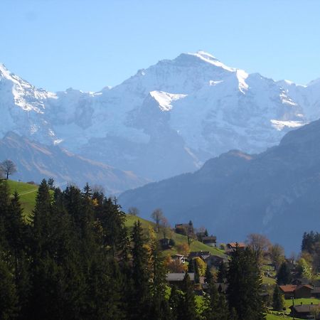 Chalet Sunneschyn Schwanden  ภายนอก รูปภาพ