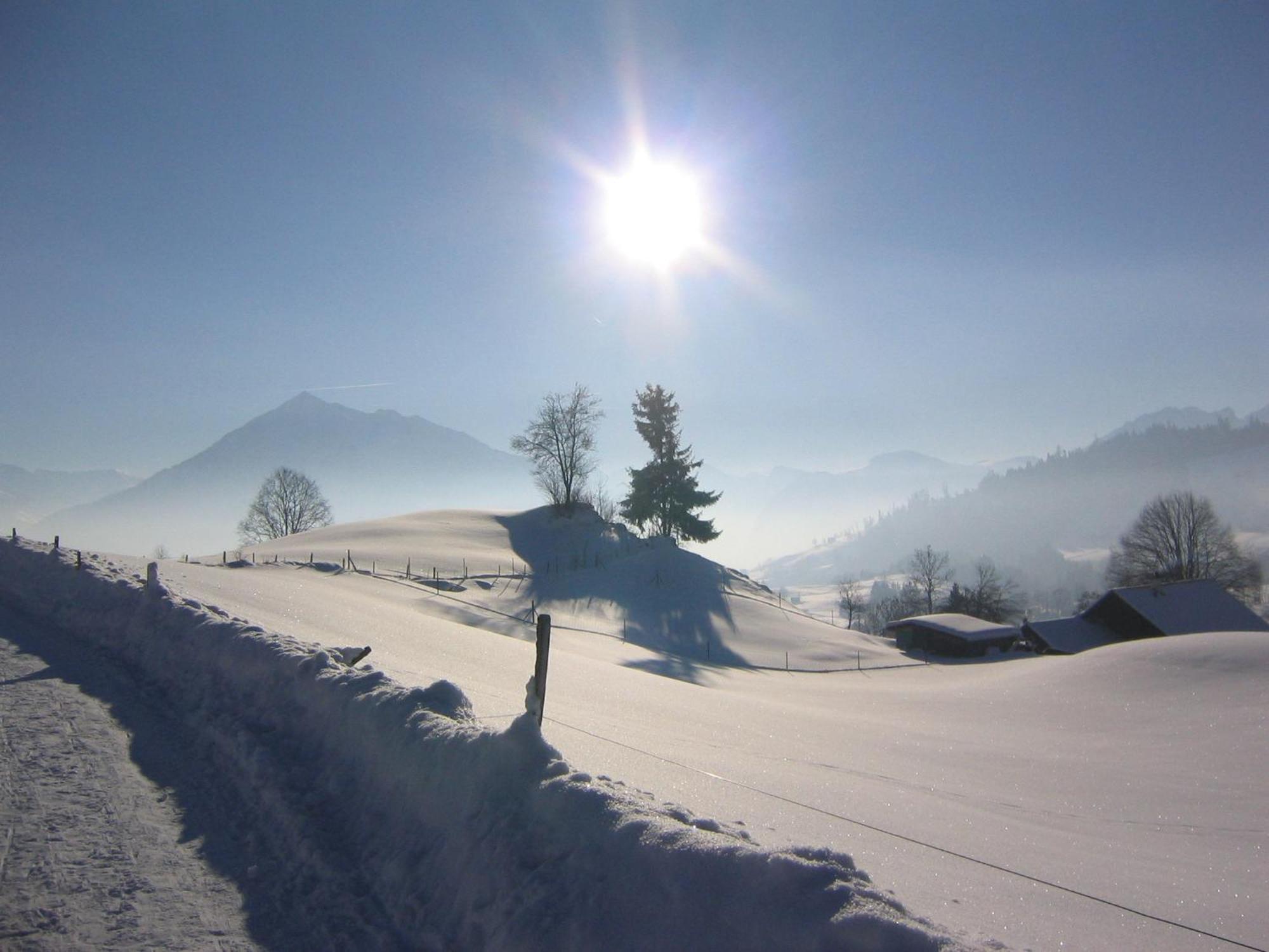 Chalet Sunneschyn Schwanden  ภายนอก รูปภาพ