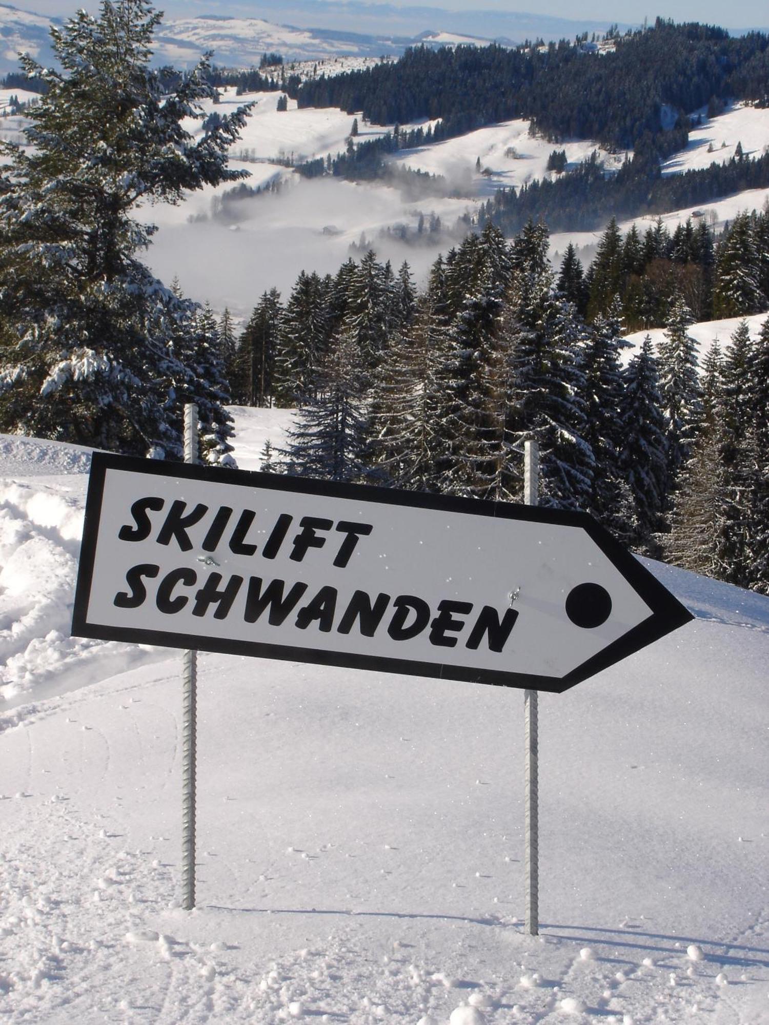 Chalet Sunneschyn Schwanden  ภายนอก รูปภาพ