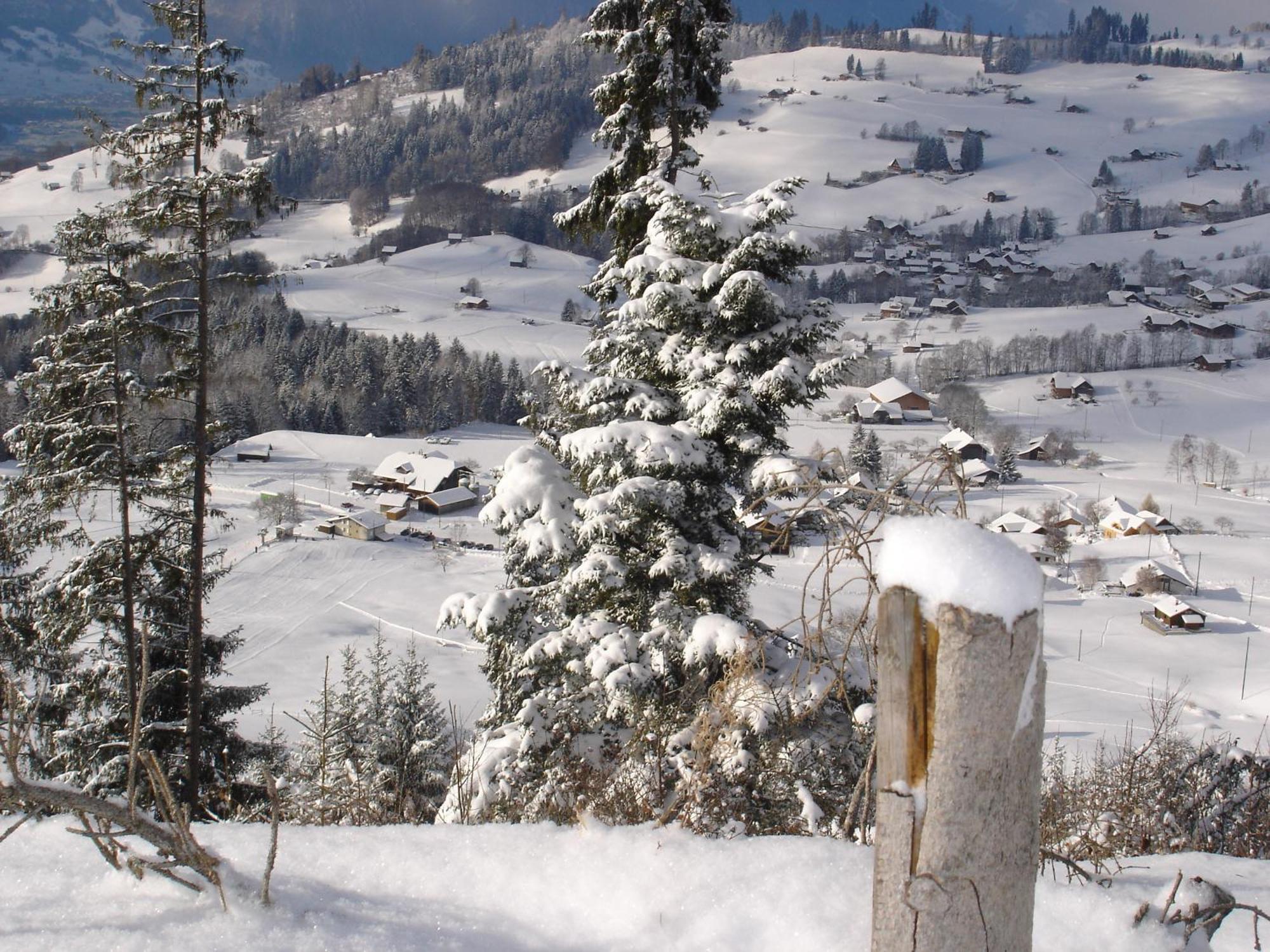 Chalet Sunneschyn Schwanden  ภายนอก รูปภาพ