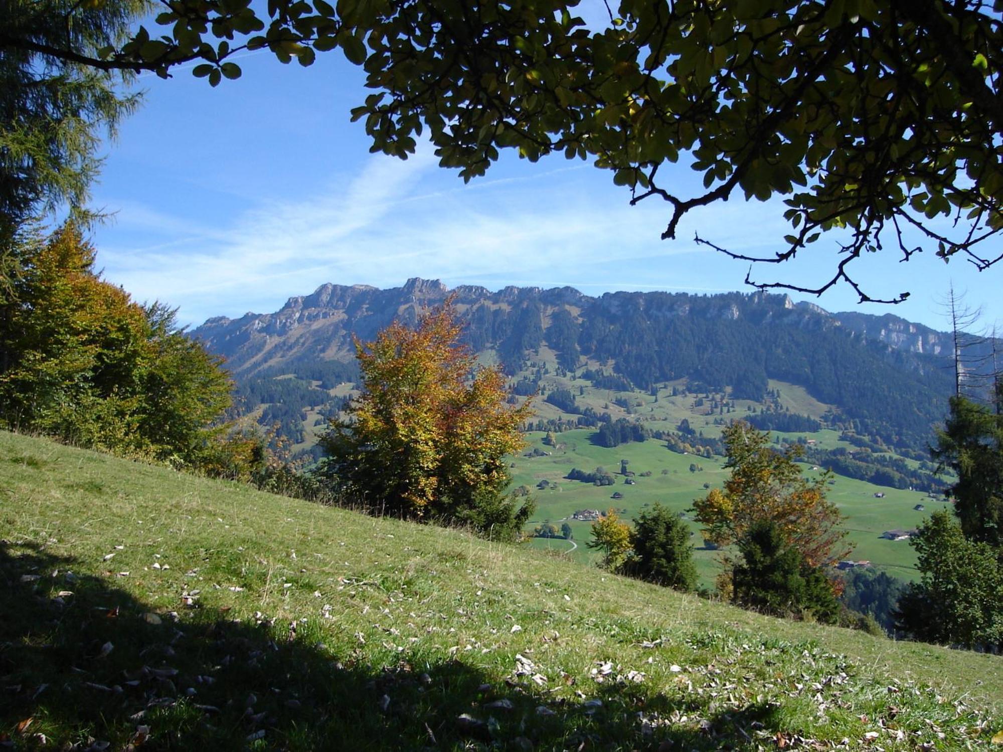 Chalet Sunneschyn Schwanden  ภายนอก รูปภาพ