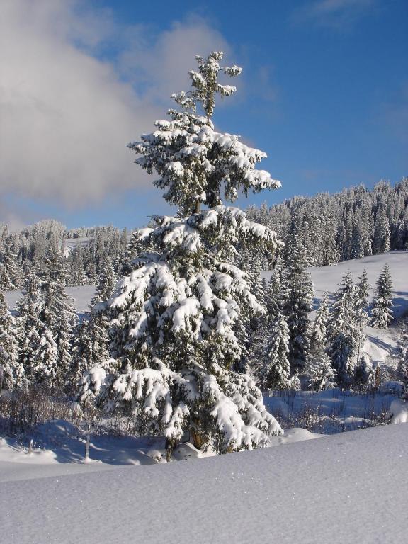Chalet Sunneschyn Schwanden  ภายนอก รูปภาพ